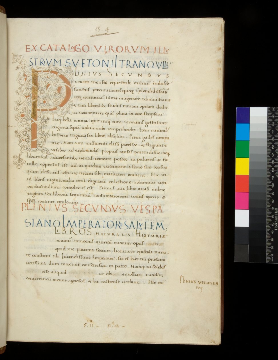 Bayan 394.1. Yaşlı Pliny, Historia naturalis, f.1r. Beyaz asma sapı bezemeli ışıklı ilk [P] (bitmemiş), Napoli, 15. yüzyıl ortası, c.1442 (parşömen) by Neapolitan School