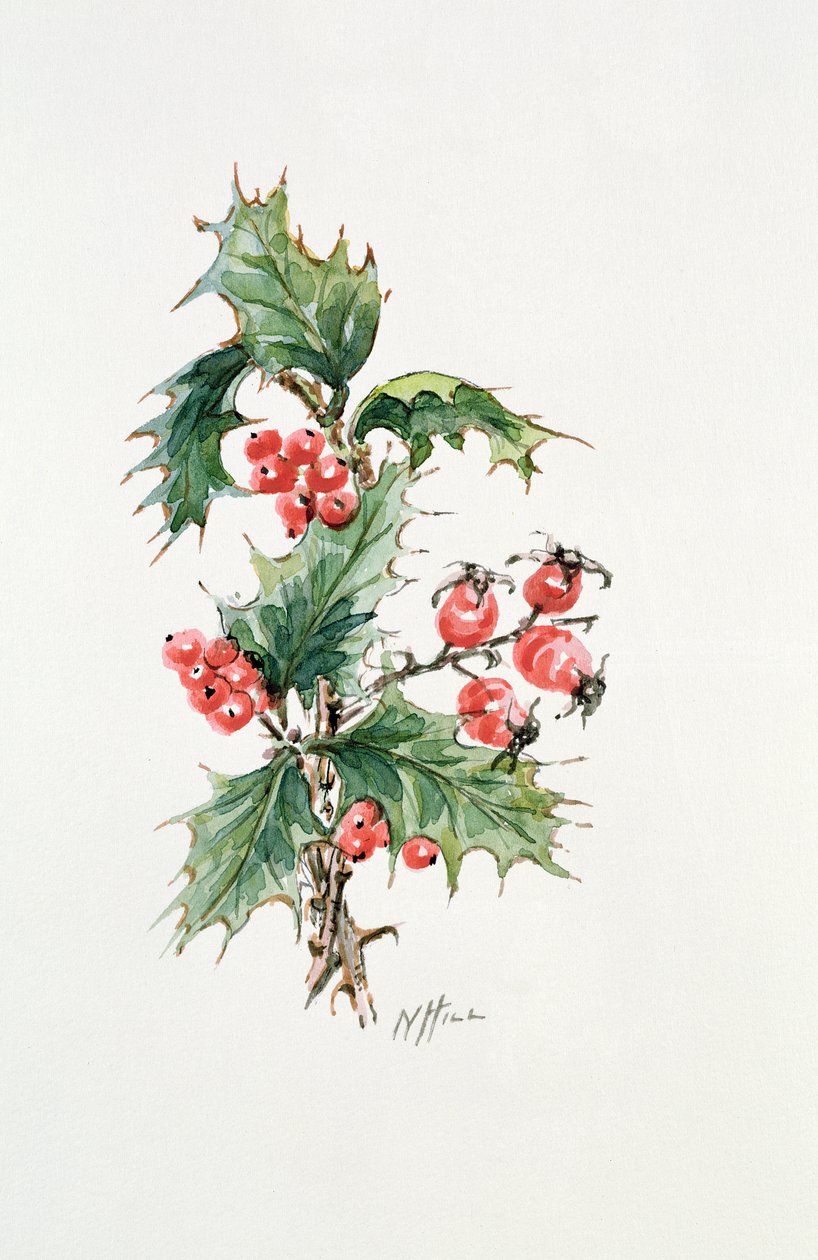 Holly ve kuşburnu by Nell Hill