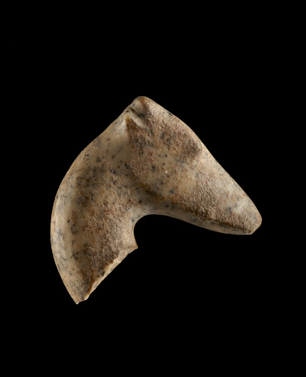Dişi bir Pers ceylanının başı, MÖ 6000-5500 (granit) by Neolithic