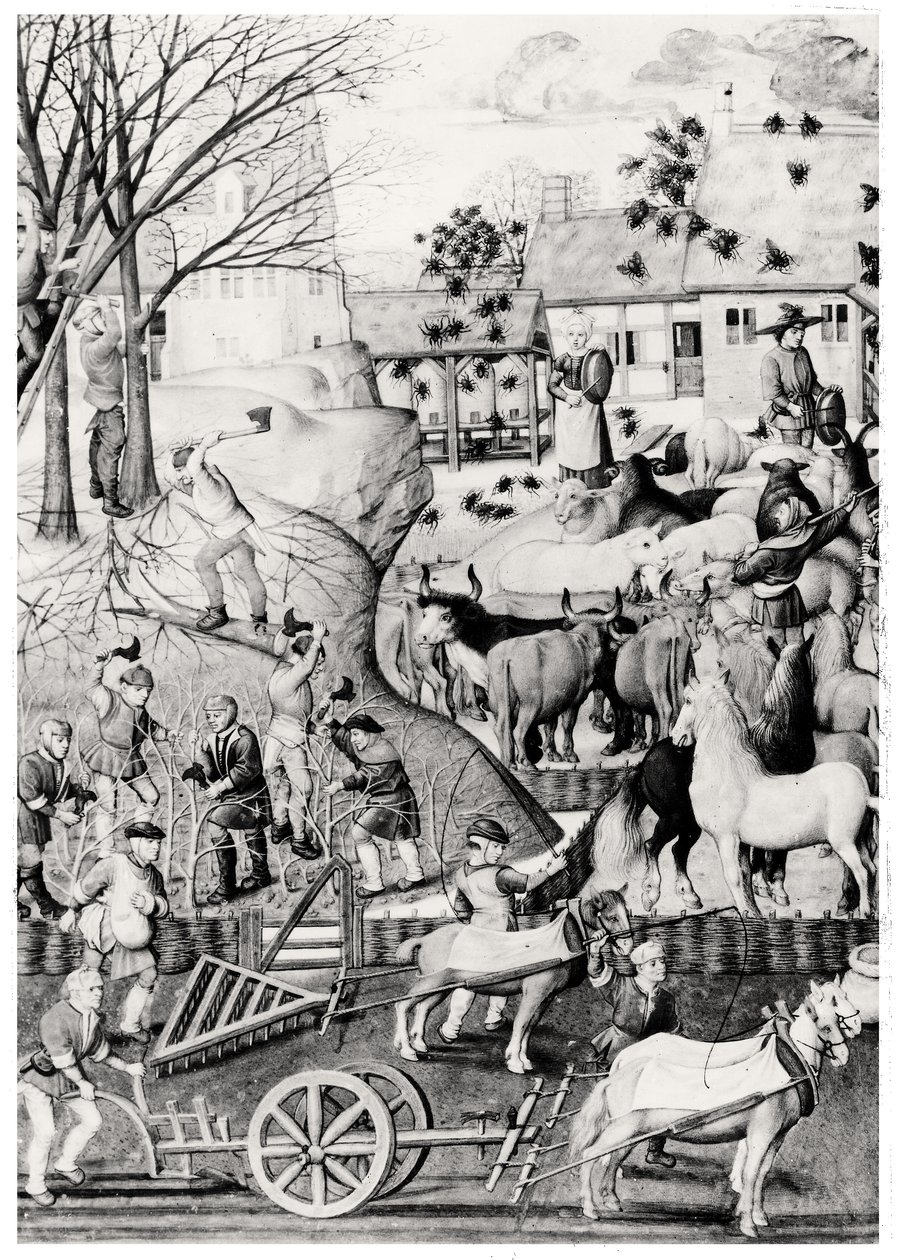 çiftçilik by Netherlandish School