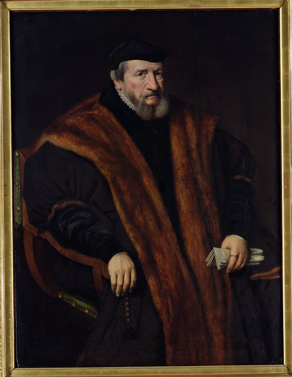 Bir Adamın Portresi, 1564 by Netherlandish School