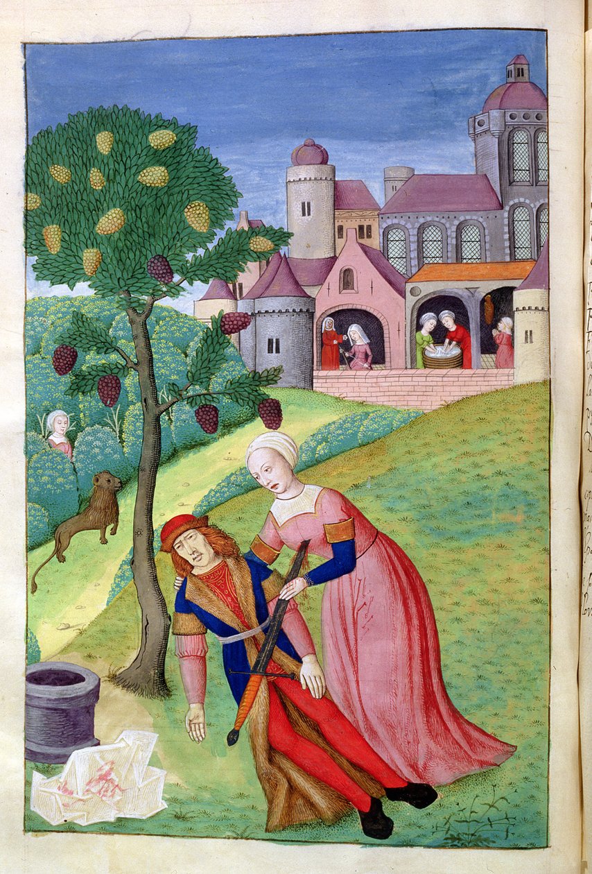Ms 324 f.44 v. Alcithoe, Pyramus ve Thisbe, Dut ağacı renk değiştirir, Metamorphoses by Ovid, 1479 by Netherlandish School