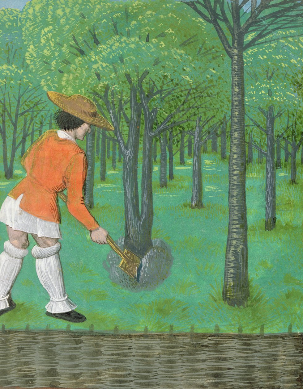 Roy 14 E VI f.28 