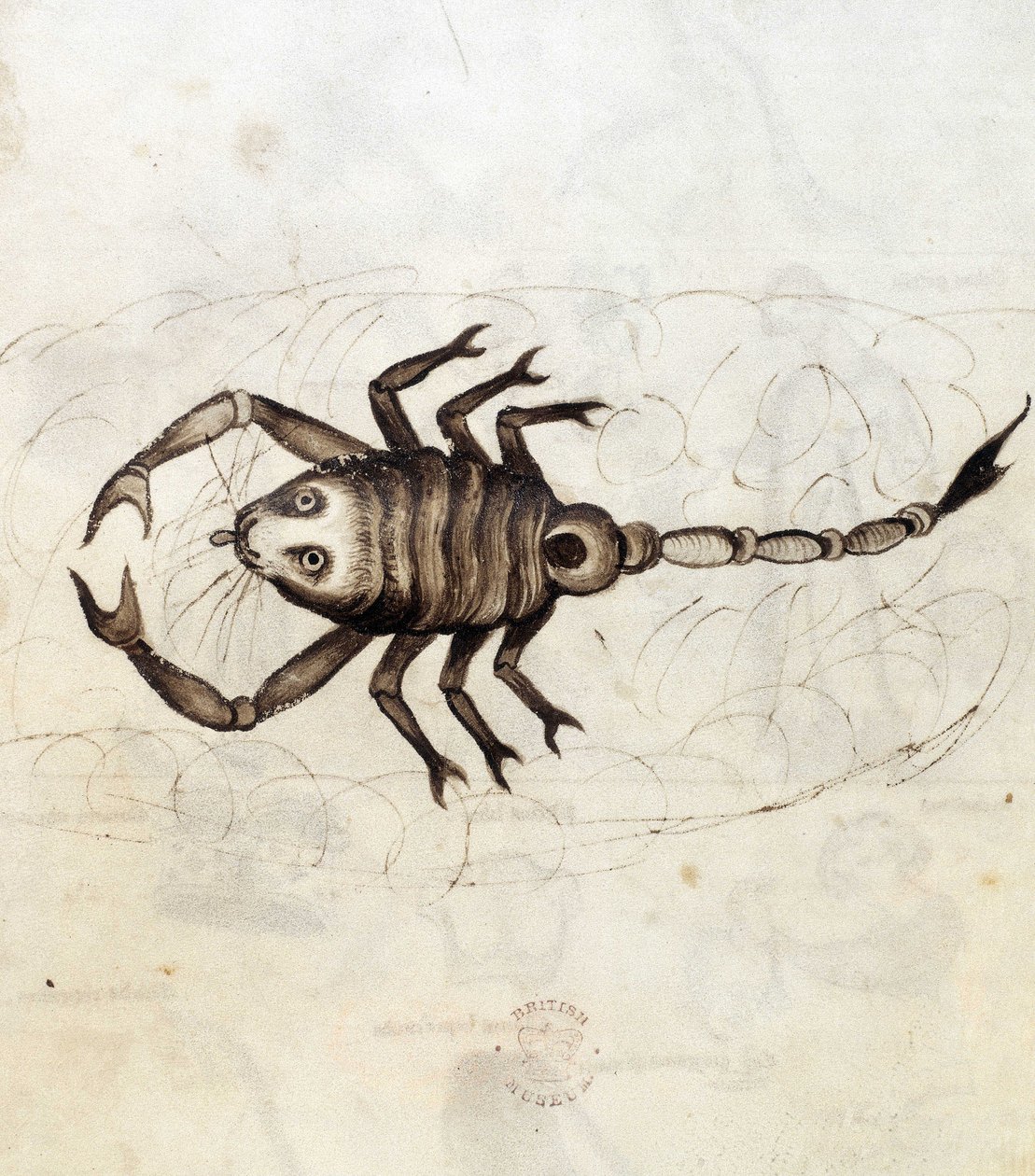 Sloane 3983. Folyo No: 23 Burç Akrep (parşömen) by Netherlandish School
