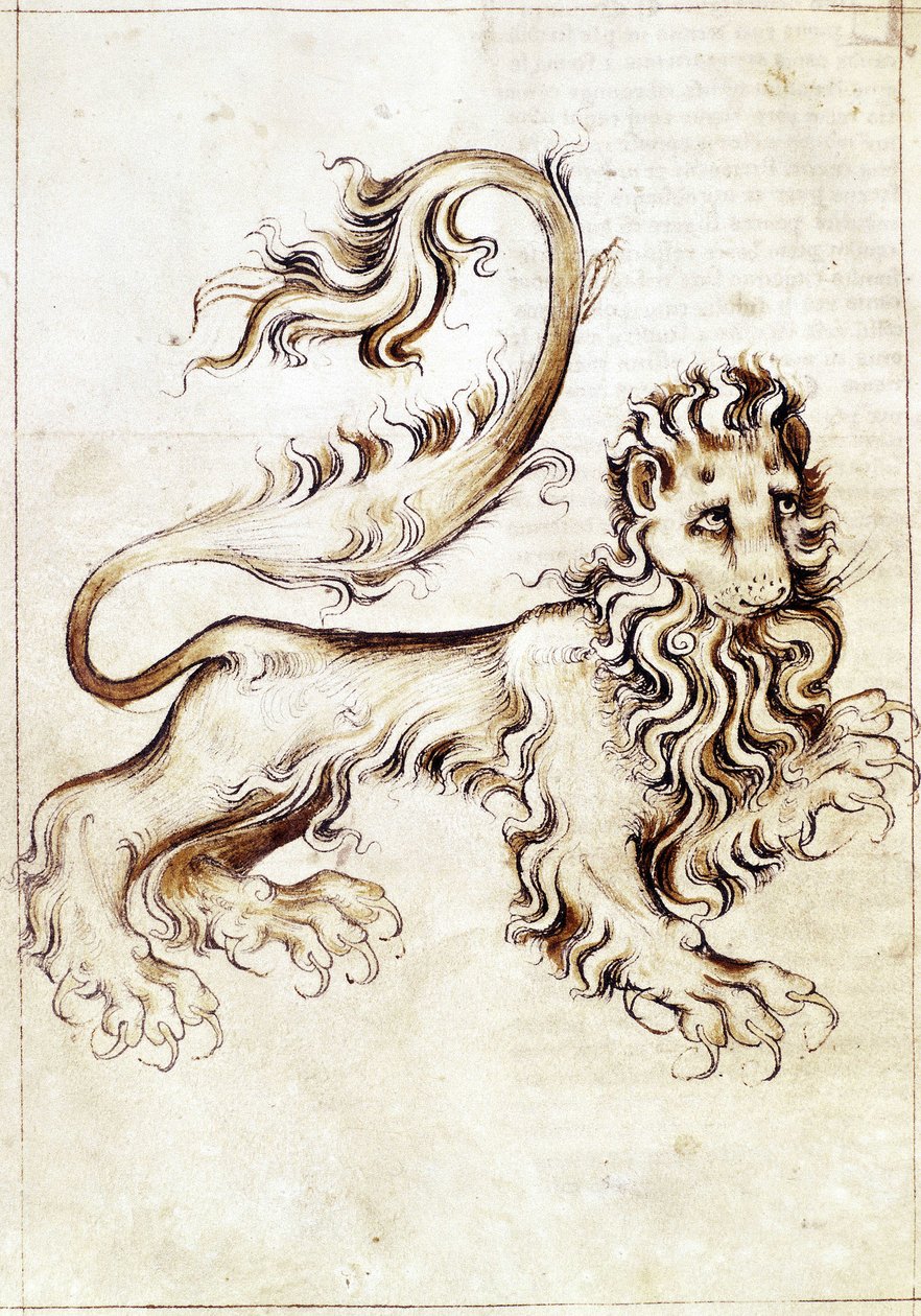 Sloane 3983 f.16v Aslan burcu (parşömen) by Netherlandish School