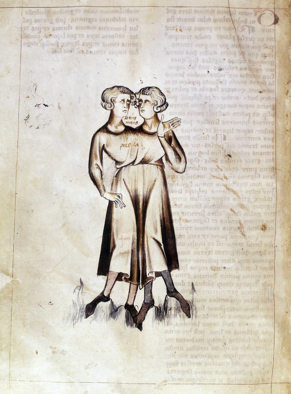 Sloane 3983 f.8v İkizler çizimi, Jafar ibn Muhammed (parşömen) tarafından yazılmış bir Farsça astrolojik incelemenin tercümesinden by Netherlandish School