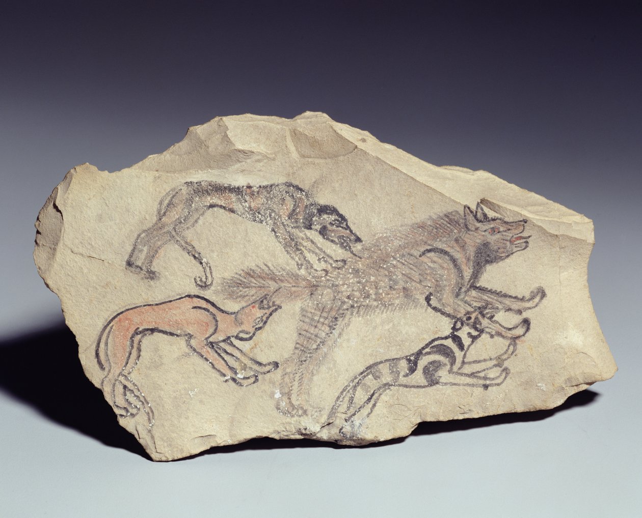 Sırtlanı kovalayan bir köpeği tasvir eden Ostracon (kireçtaşı) by New Kingdom Egyptian