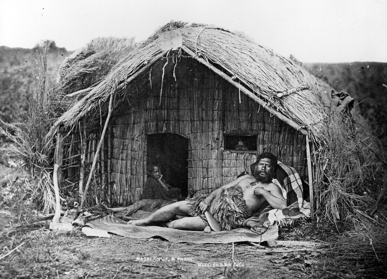 Maori Şefi ve Evi, c.1863-80 by New Zealand Photographer