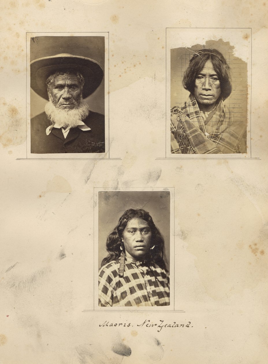 Maoris, Yeni Zelanda, 1865 dolayları (albüm baskısı) by New Zealander Photographer