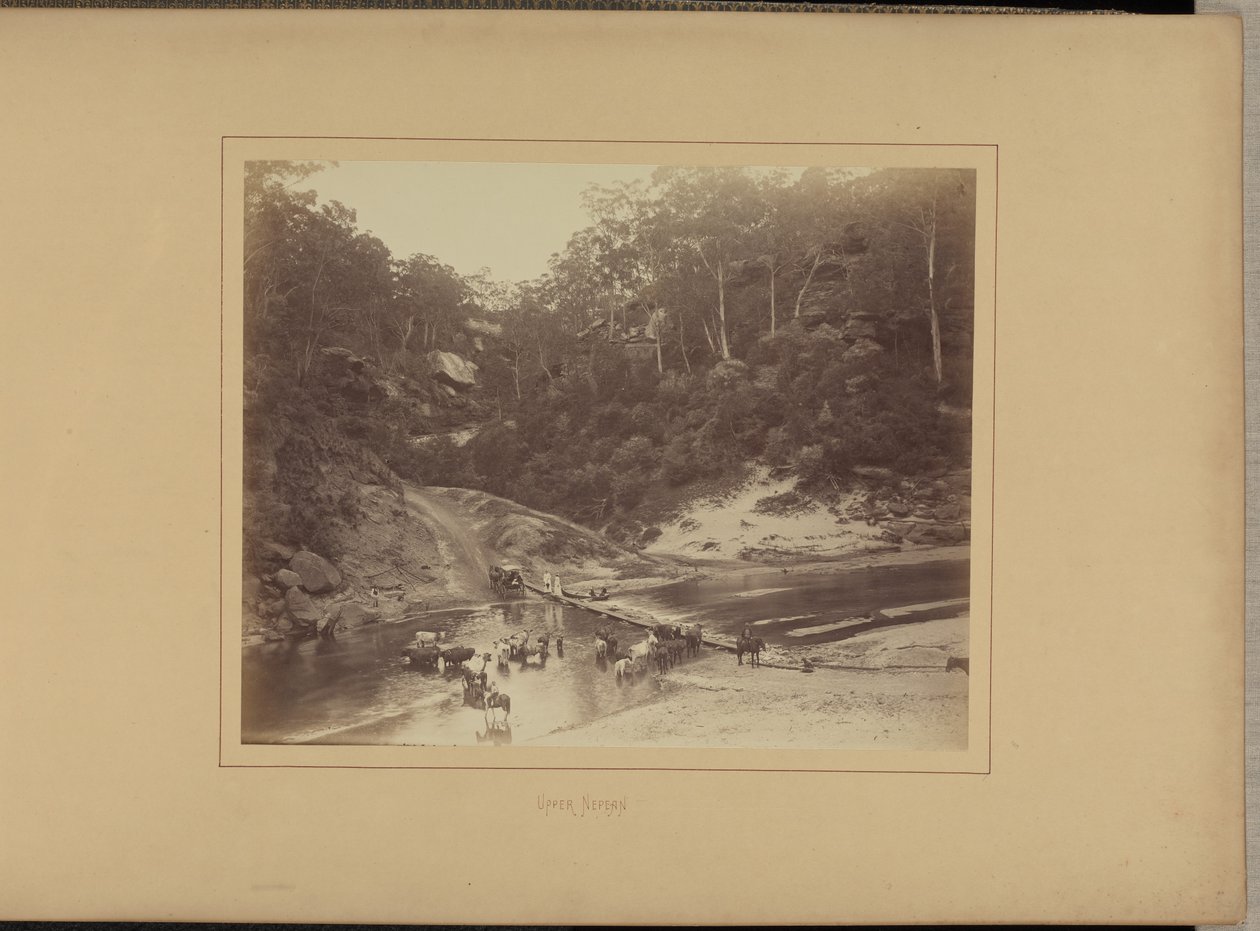  by New South Wales Government Printing Office