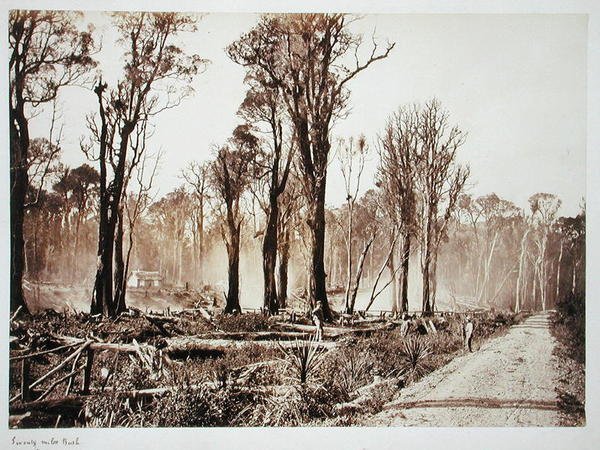Yetmiş Mil Bush (sepya fotoğraf) by New Zealander Photographer