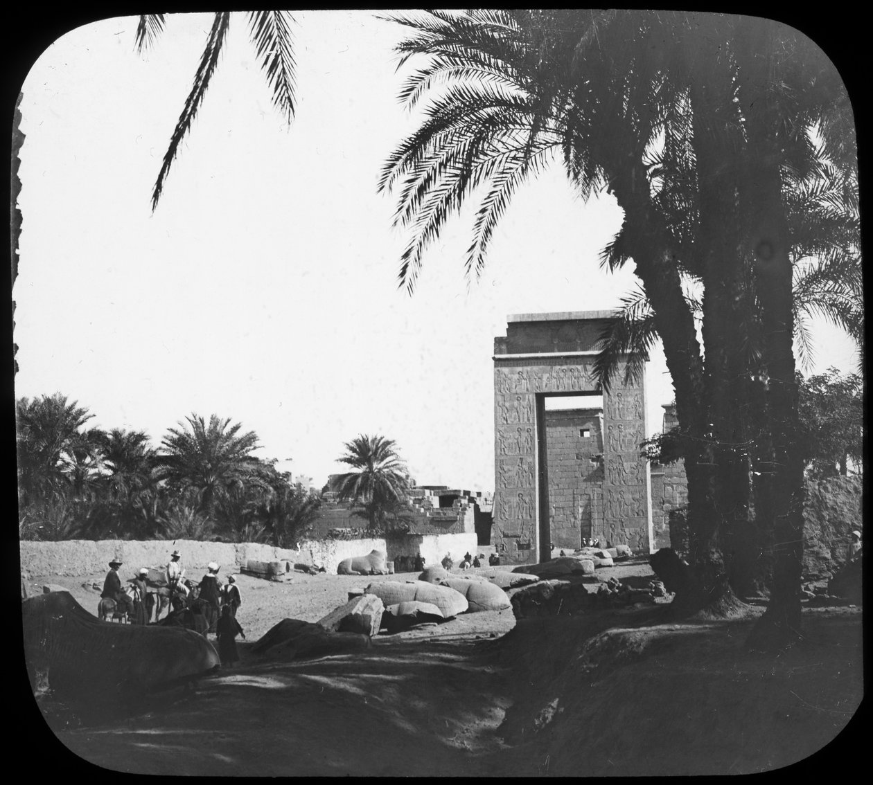 Sfenks Bulvarı, Karnak, Mısır, c1890 by Newton and Co