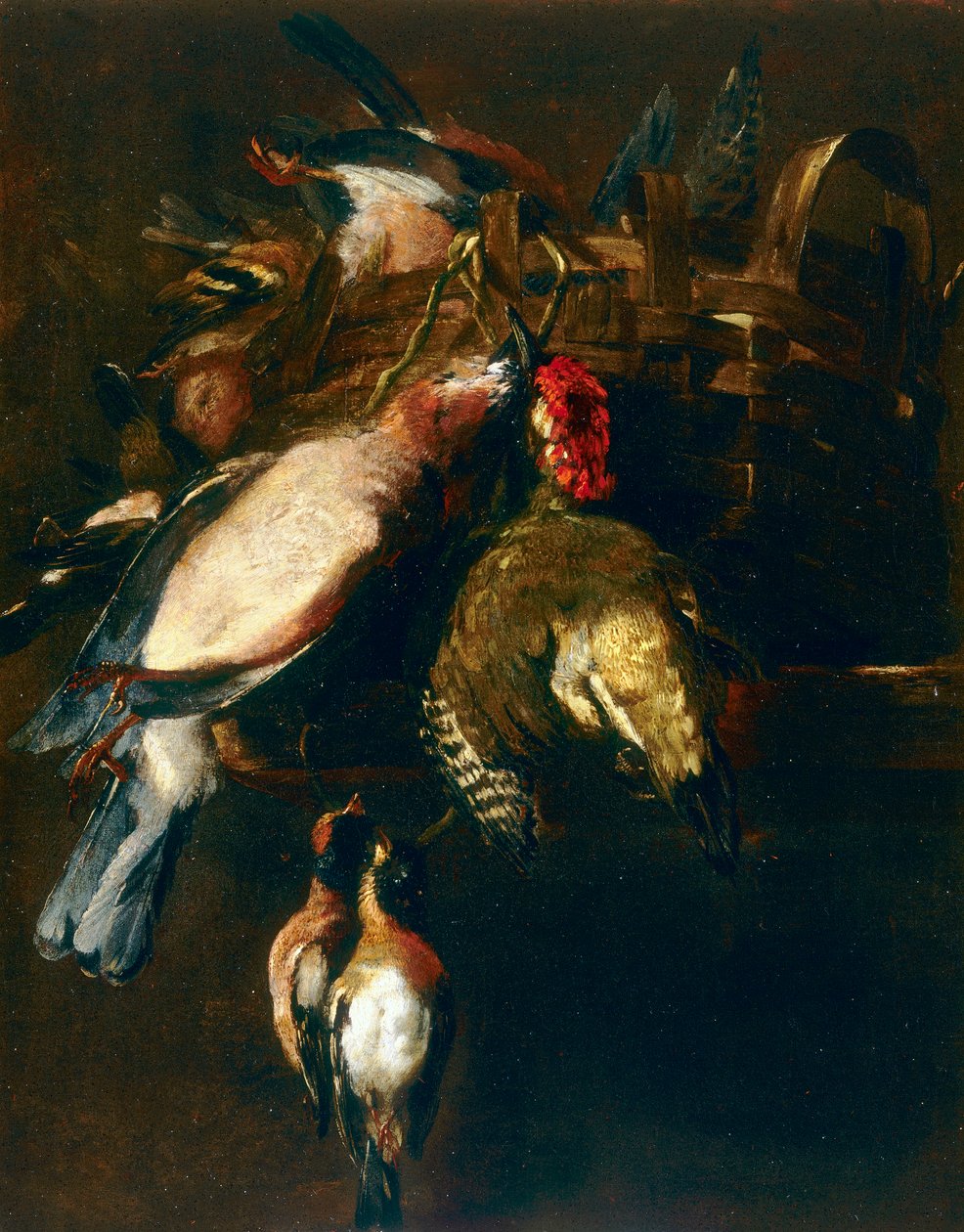 Cestod, bir silindir ve iki ispinoz ile natürmort by Nicasius 1620 78 Bernaerts