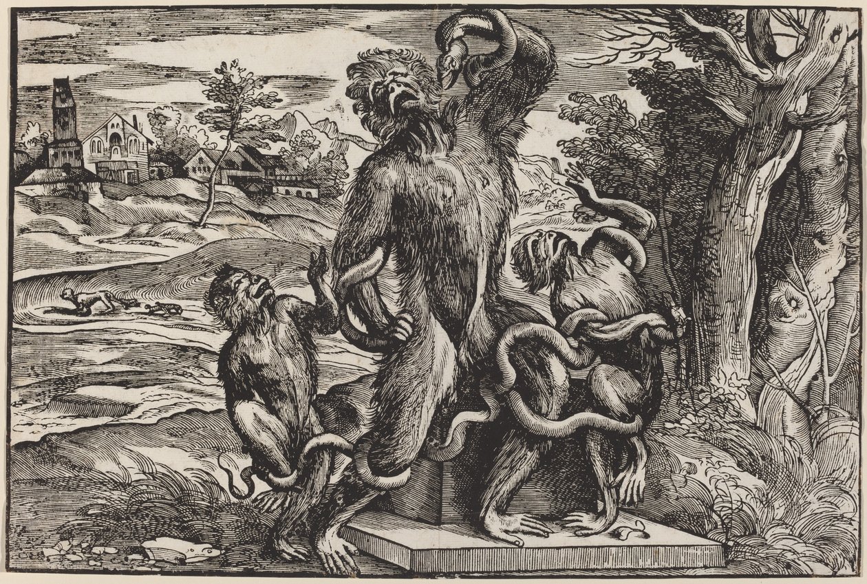 Laocoon Grubunun Karikatürü by Niccolò Boldrini after Titian