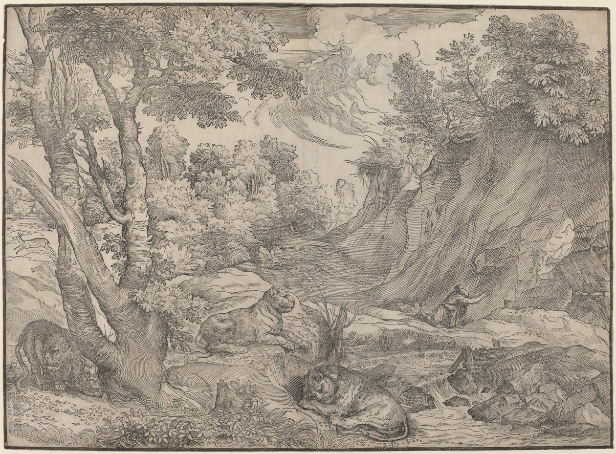 Vahşi Doğada Aziz Jerome by Niccolò Boldrini after Titian