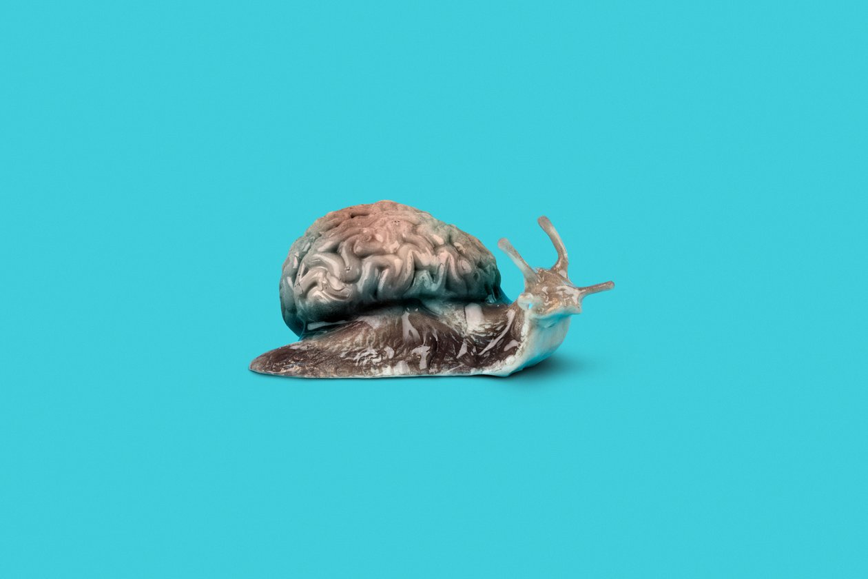  by Niccolò Fioriti