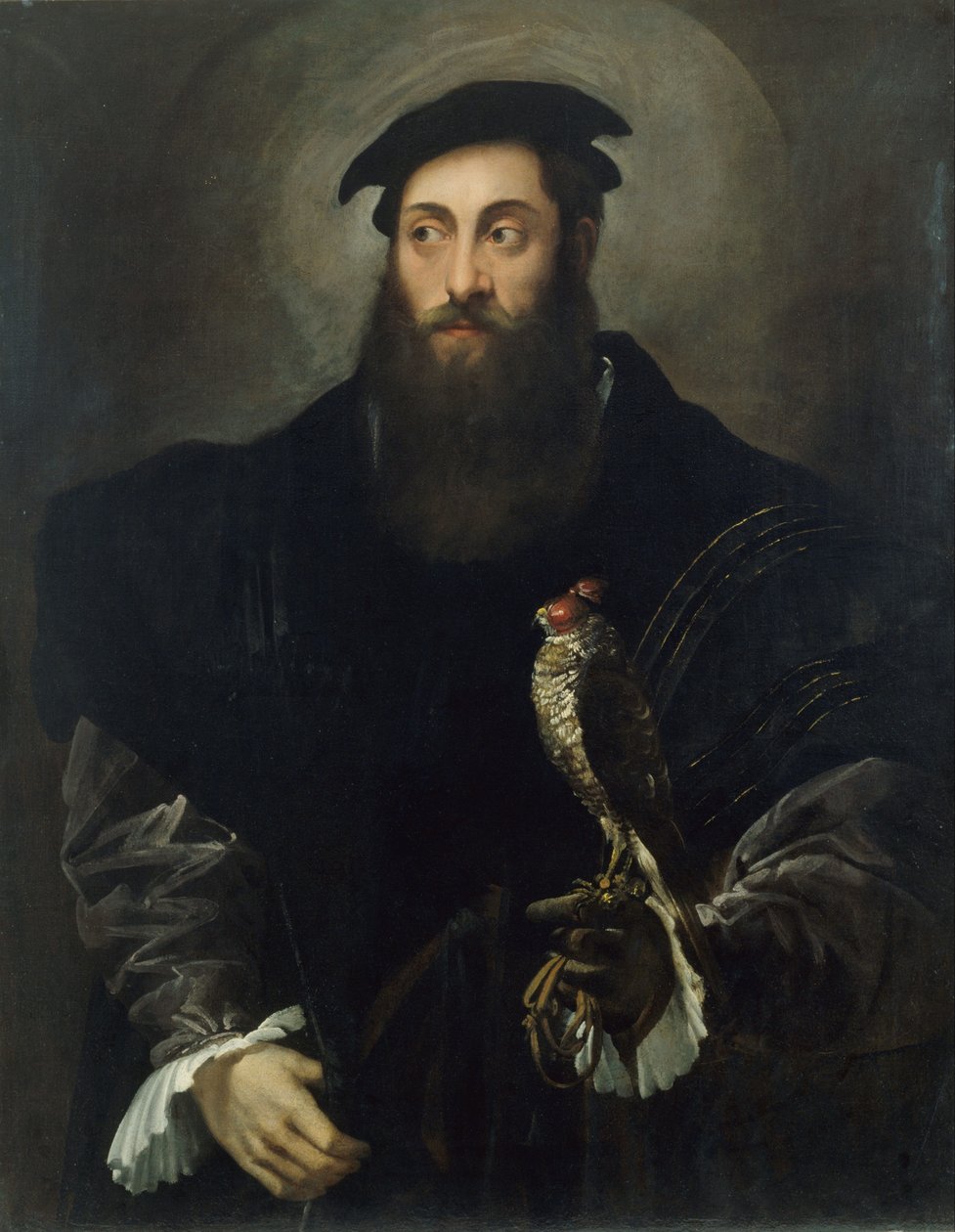 Şahinli bir beyefendinin portresi by Niccolò dell Abate