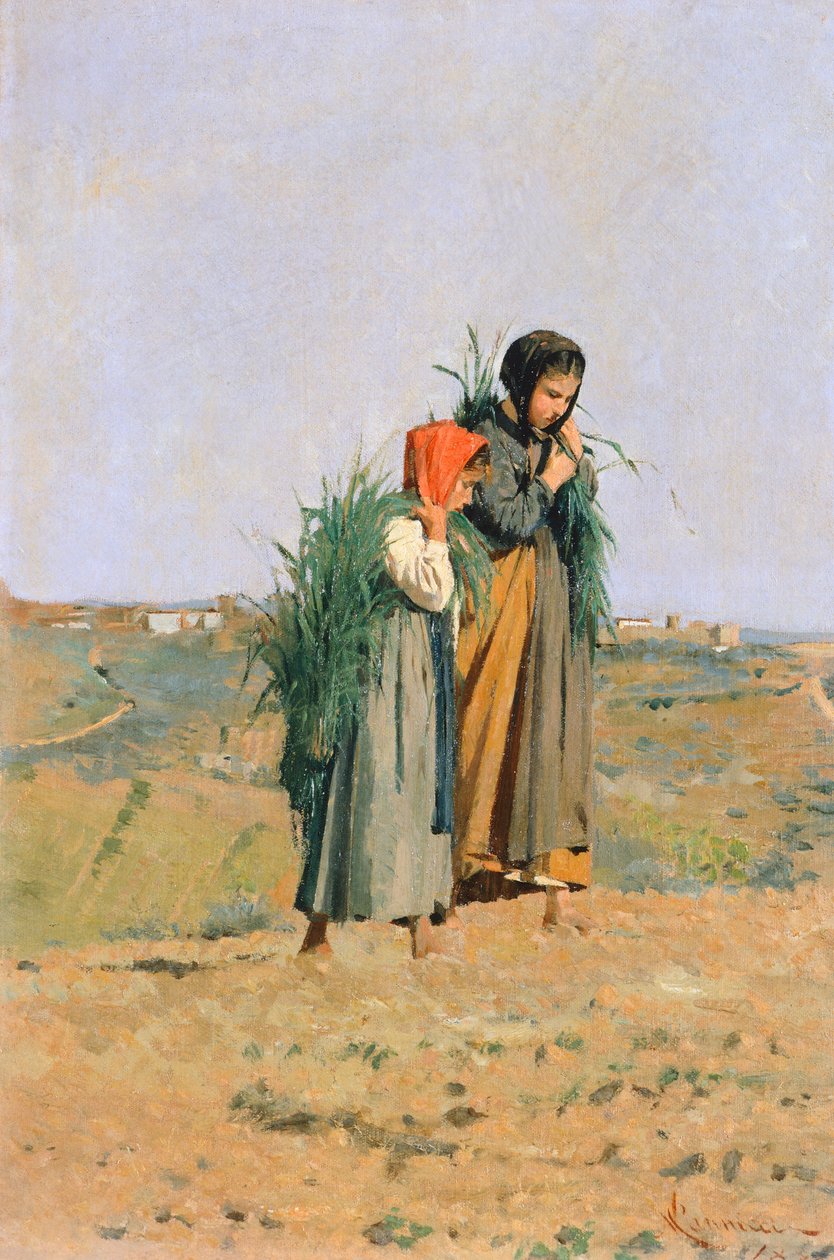 Erbaiole by Niccolo Cannicci