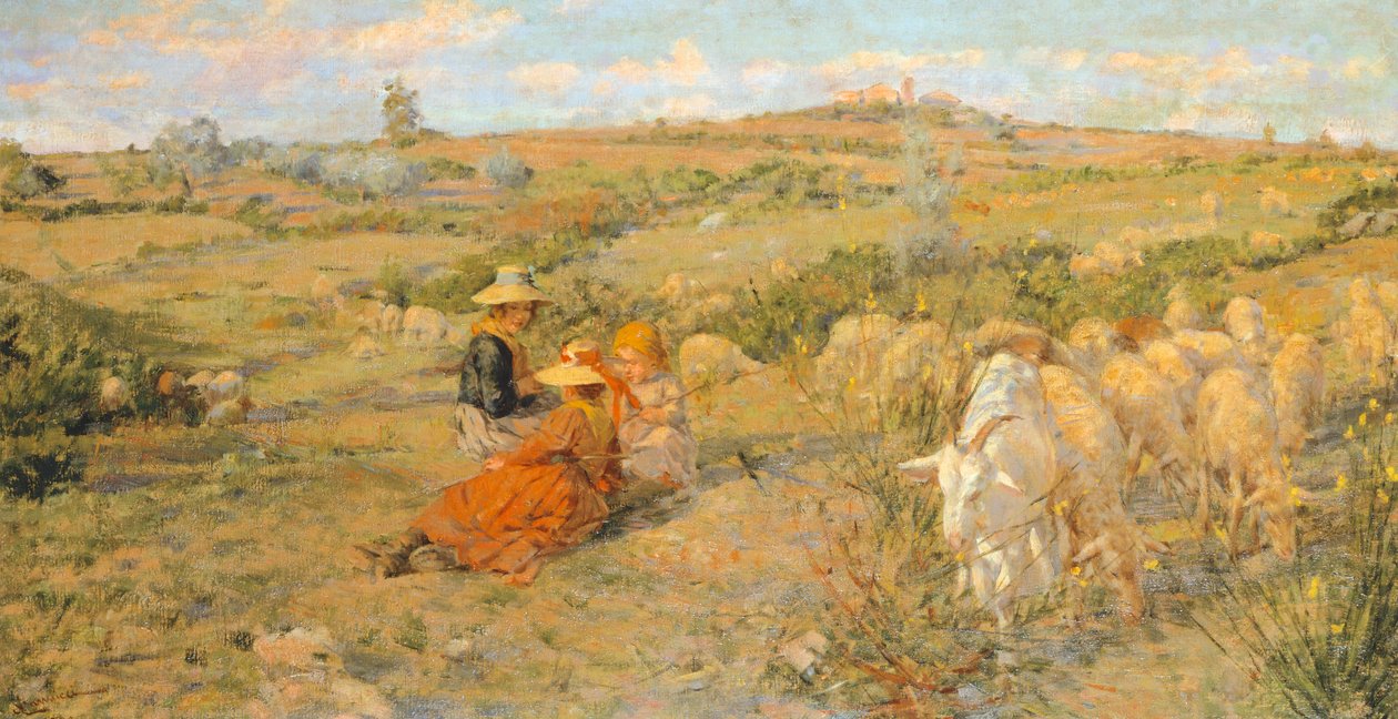 dağ çiçekleri by Niccolo Cannicci