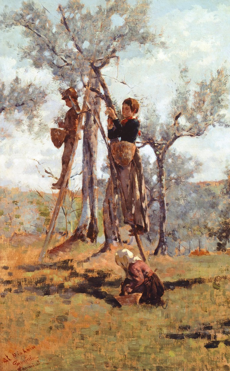 Zeytin hasadı, yaklaşık 1892 (tuval üzerine yağlıboya) by Niccolo Cannicci