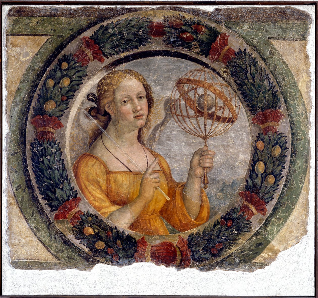 Astronomi Alegorisi by Niccolo the Younger Giolfino