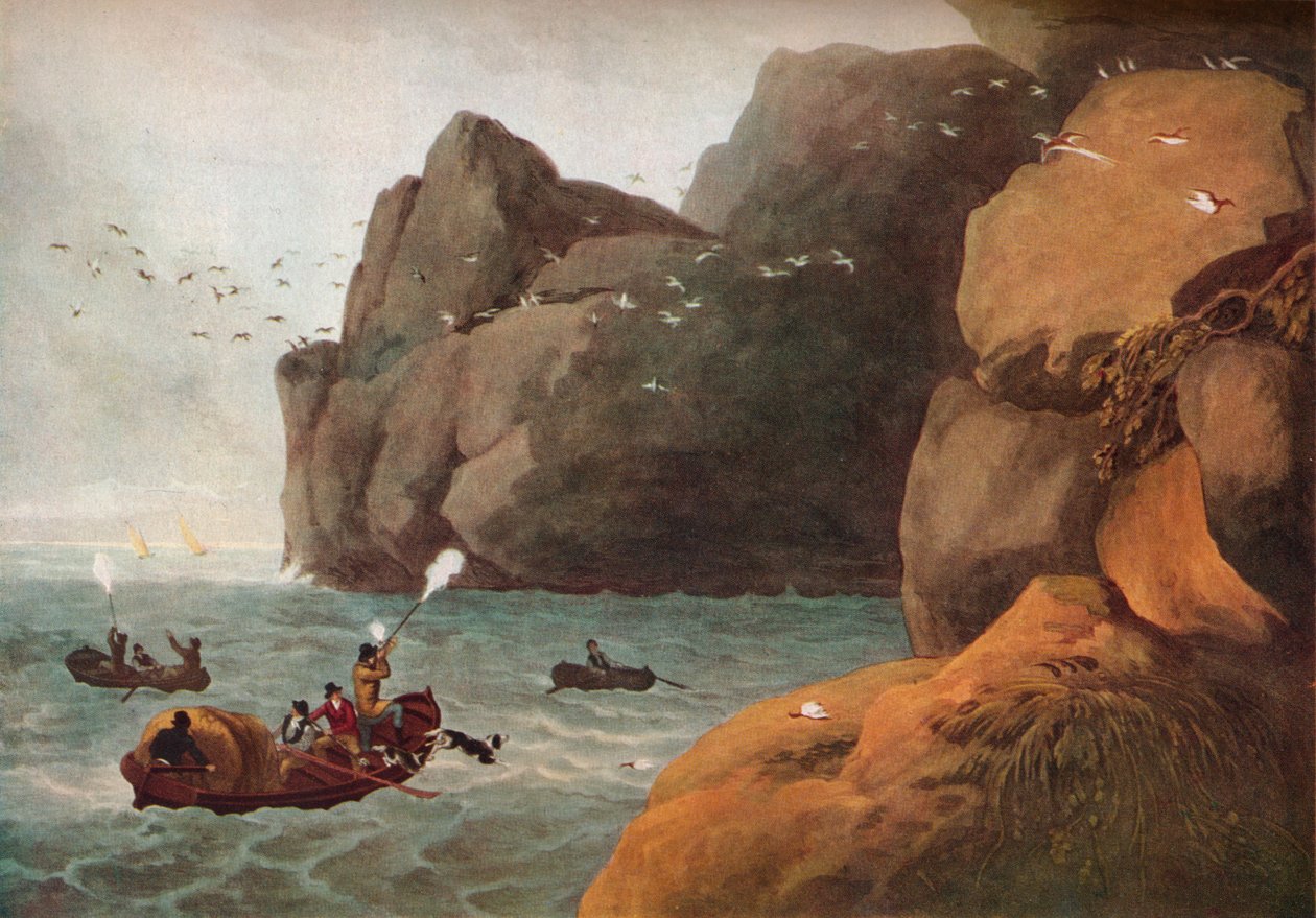 "Puffin Vuruşu", c1806 by Nichols and Merke