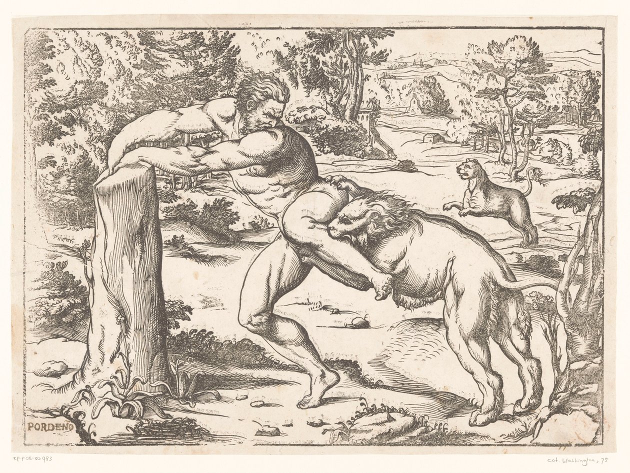 Milo of Croton bir aslan tarafından saldırıya uğradı by Nicolò Boldrini (attributed to)