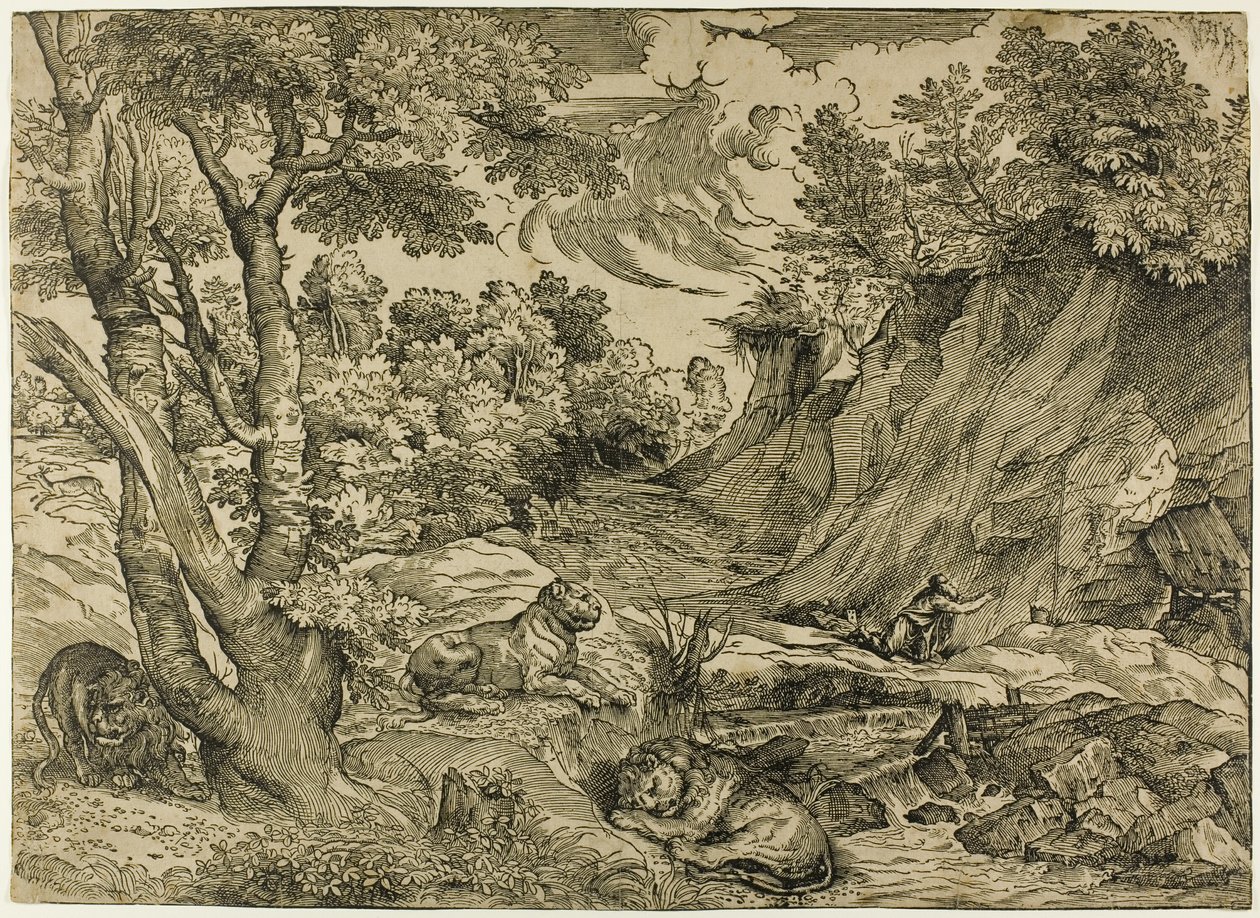 Vahşi Doğada Aziz Jerome by Nicolò Boldrini