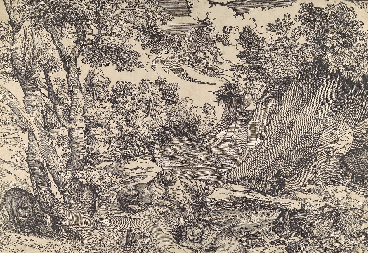 Vahşi doğada Aziz Jerome, 16. yüzyılın ortaları., 16. yüzyılın ortaları. by Nicolò Boldrini.