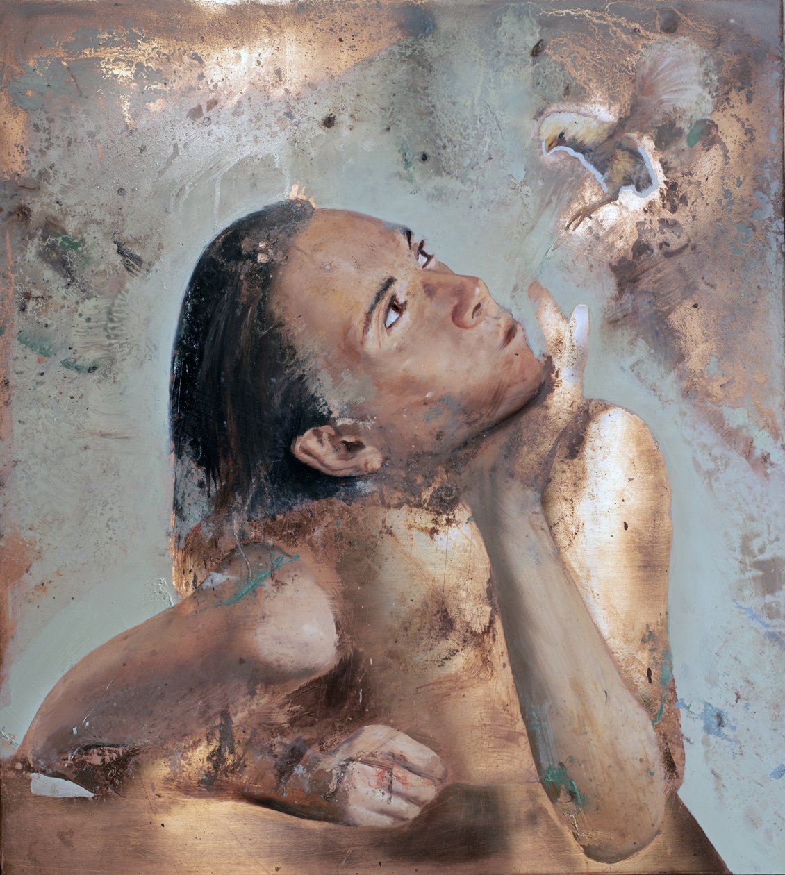  by Nicola Pucci