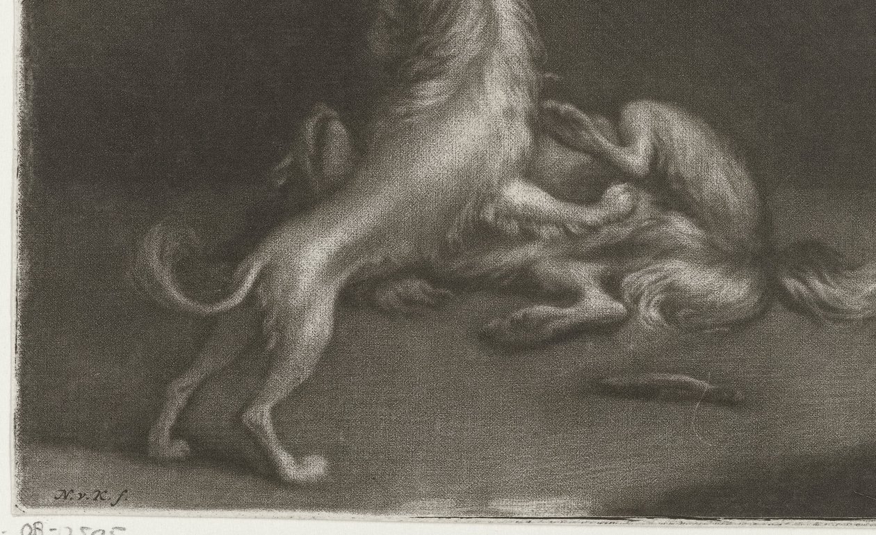 iki oynayan köpek by Nicolaas Verkolje