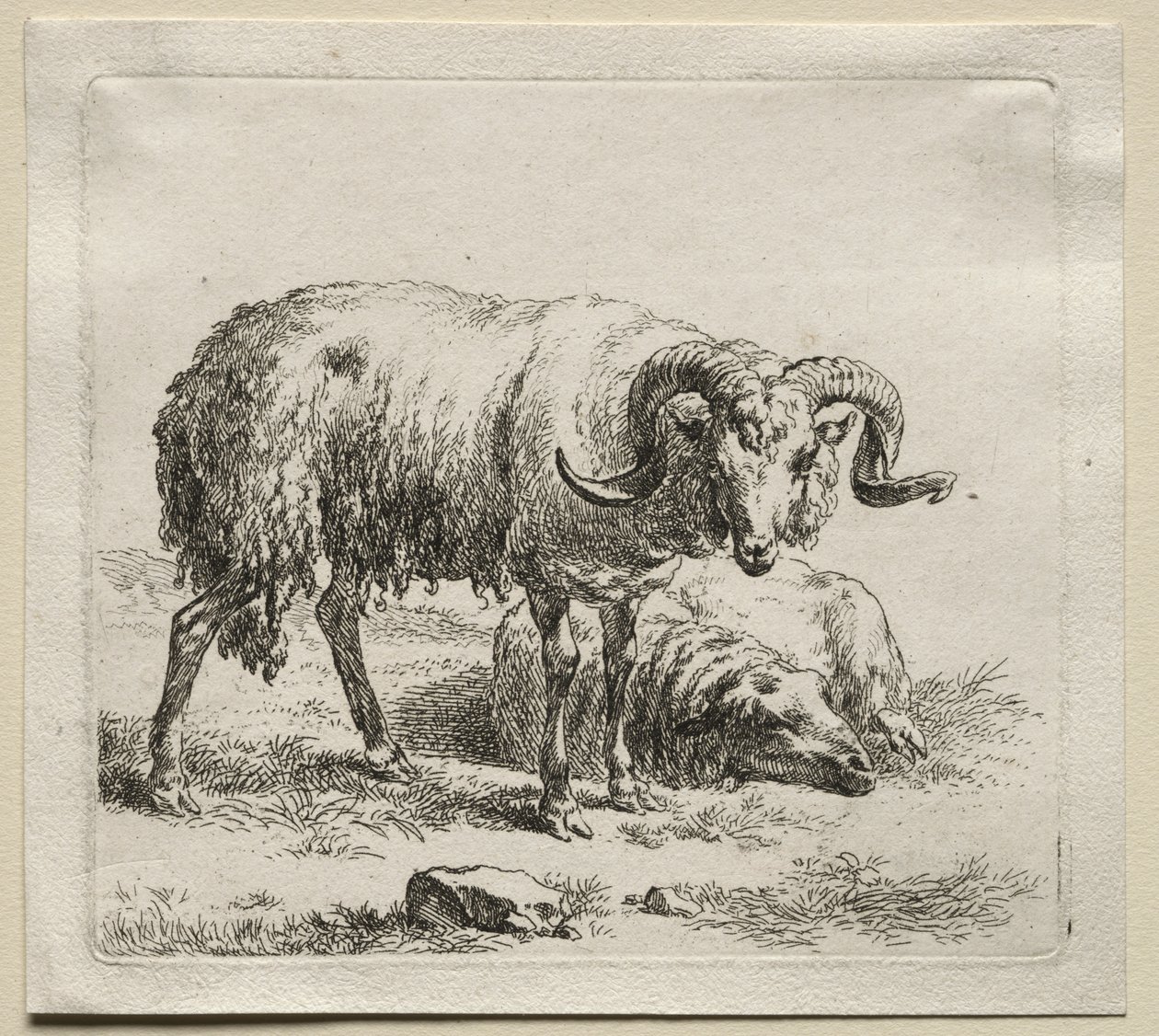 Animalia: Koç ve Koyun by Nicolaes Berchem