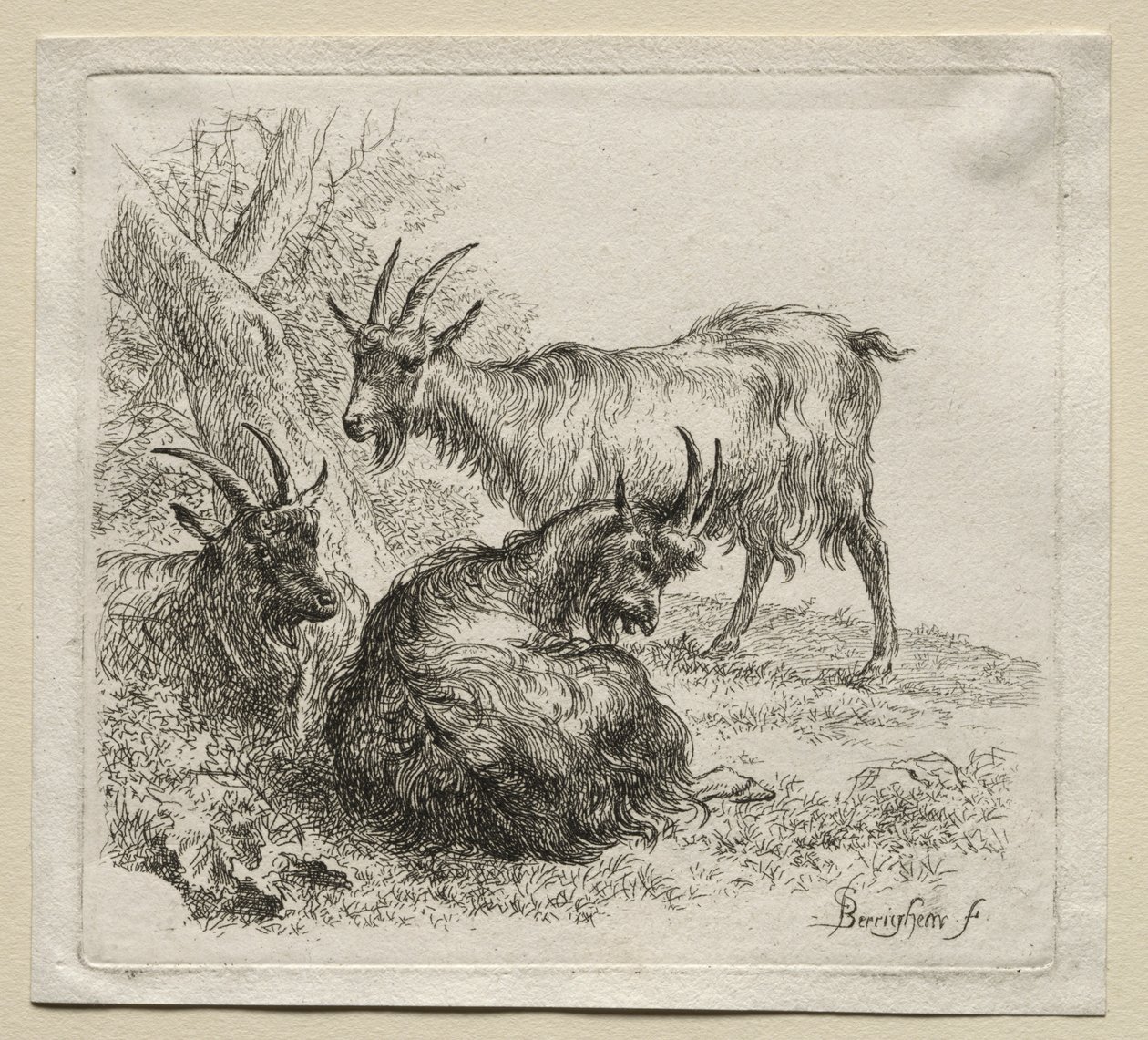 Animalia: Üç Keçi by Nicolaes Berchem