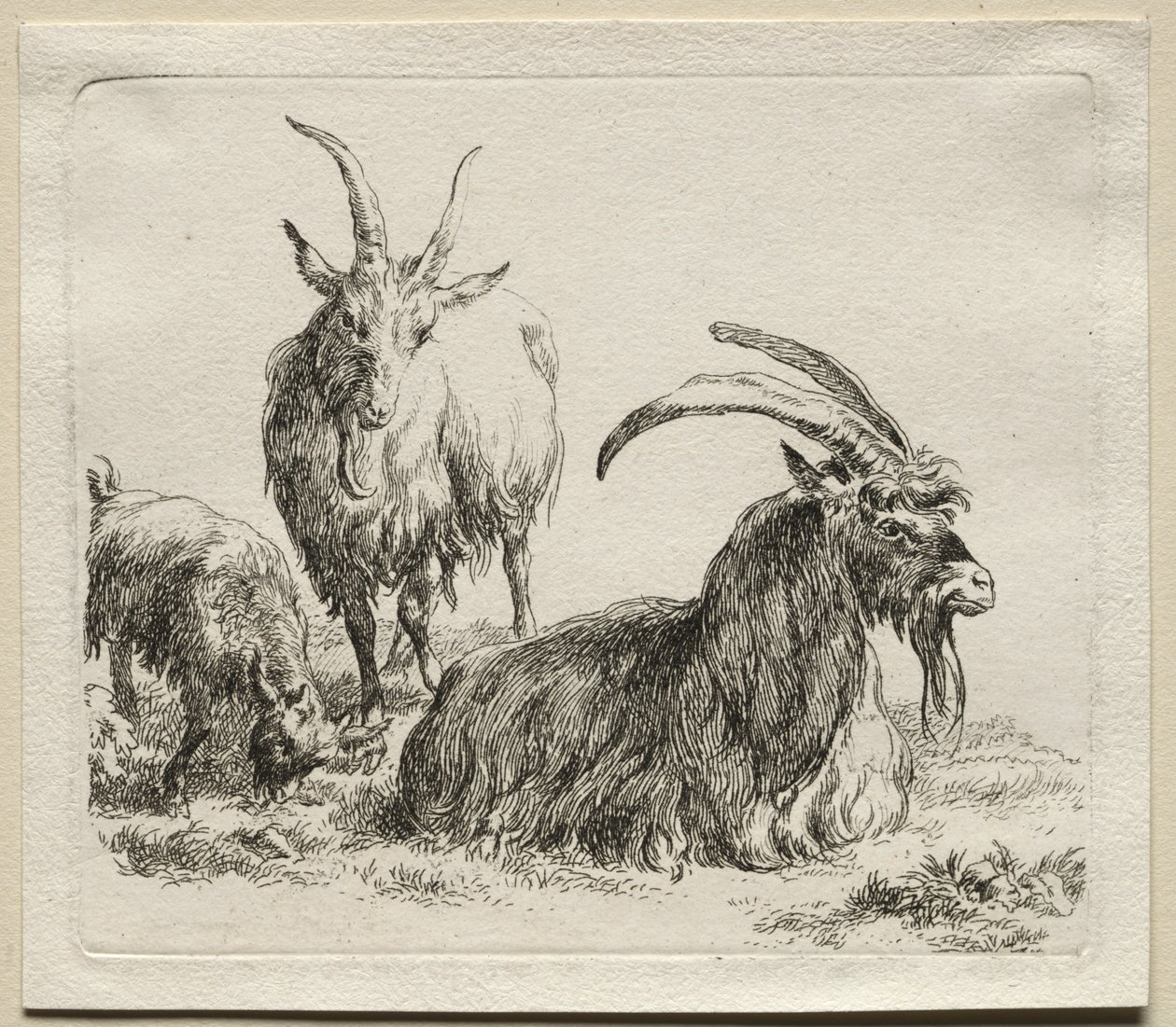 Animalia: Üç Keçi by Nicolaes Berchem