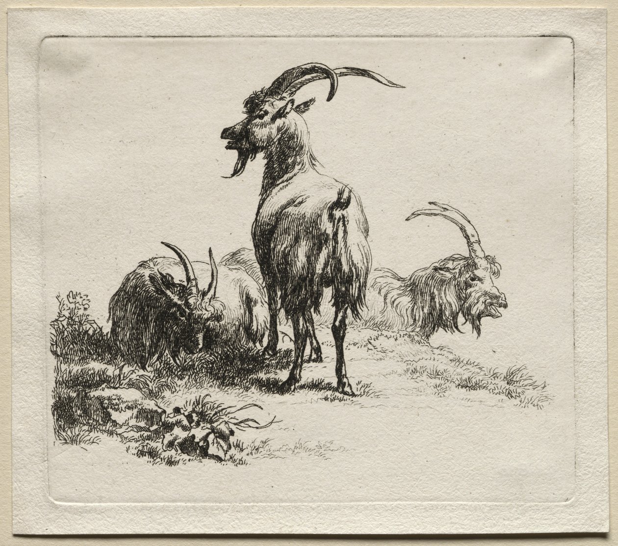 Animalia: Üç Keçi by Nicolaes Berchem