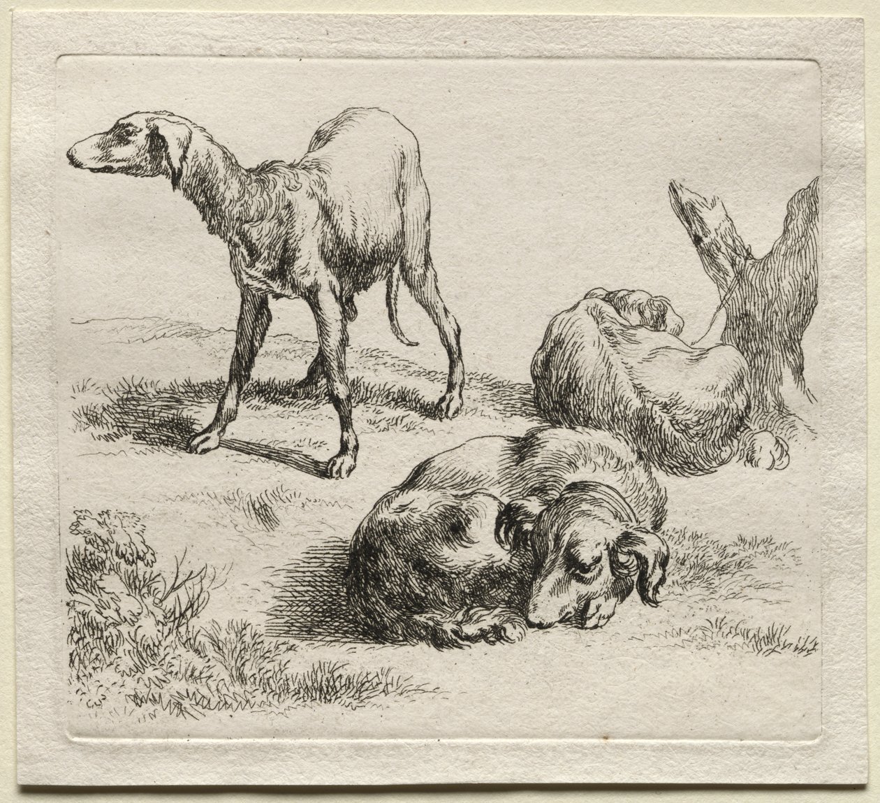 Animalia: Üç Av Köpeği by Nicolaes Berchem