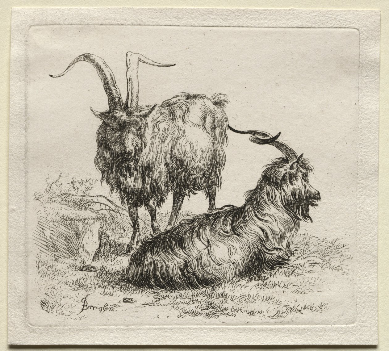 Animalia: İki Keçi by Nicolaes Berchem