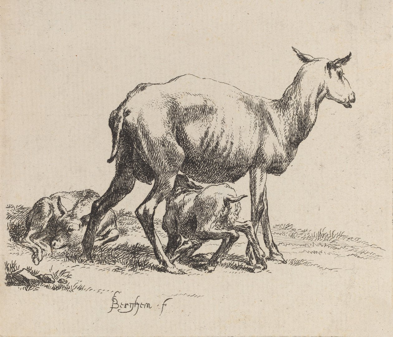 Kuzusunu Besleyen Ewe. by Nicolaes Berchem