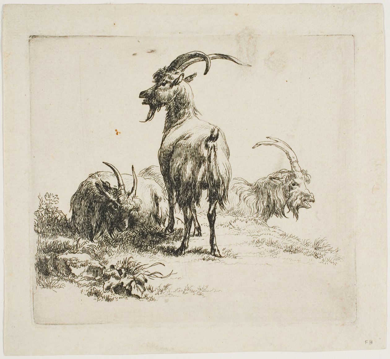 Çeşitli Hayvanlardan Keçiler by Nicolaes Berchem