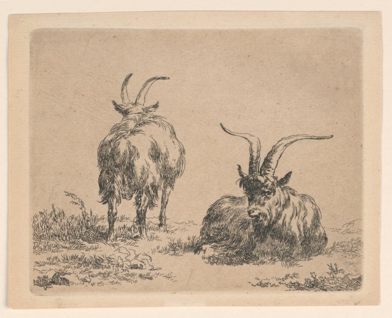 iki keçi by Nicolaes Berchem