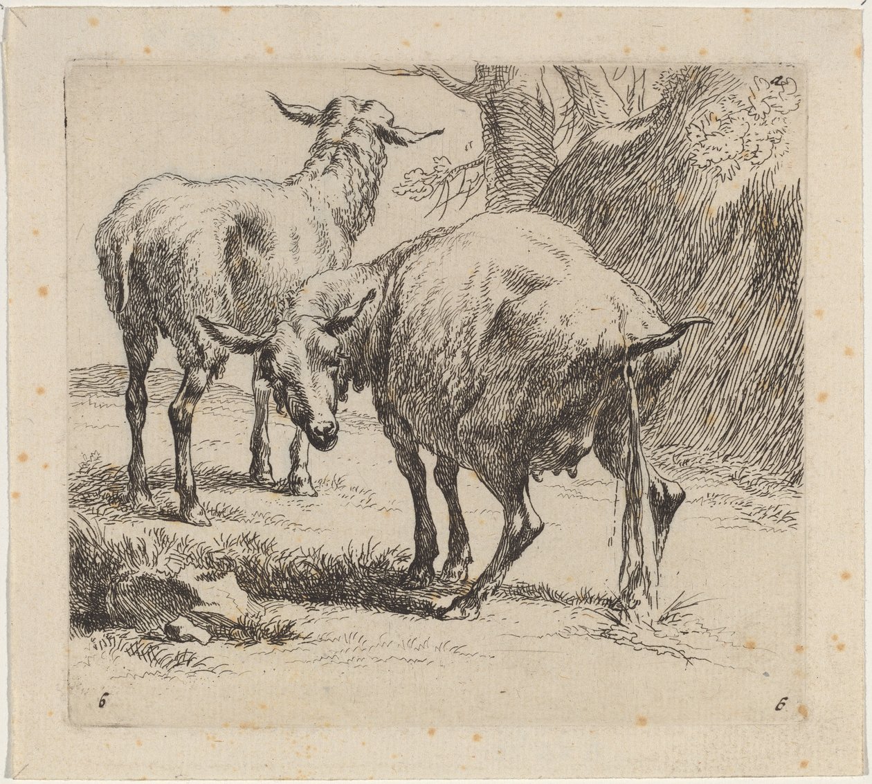 İki Koyun, Bir İşeme. by Nicolaes Berchem