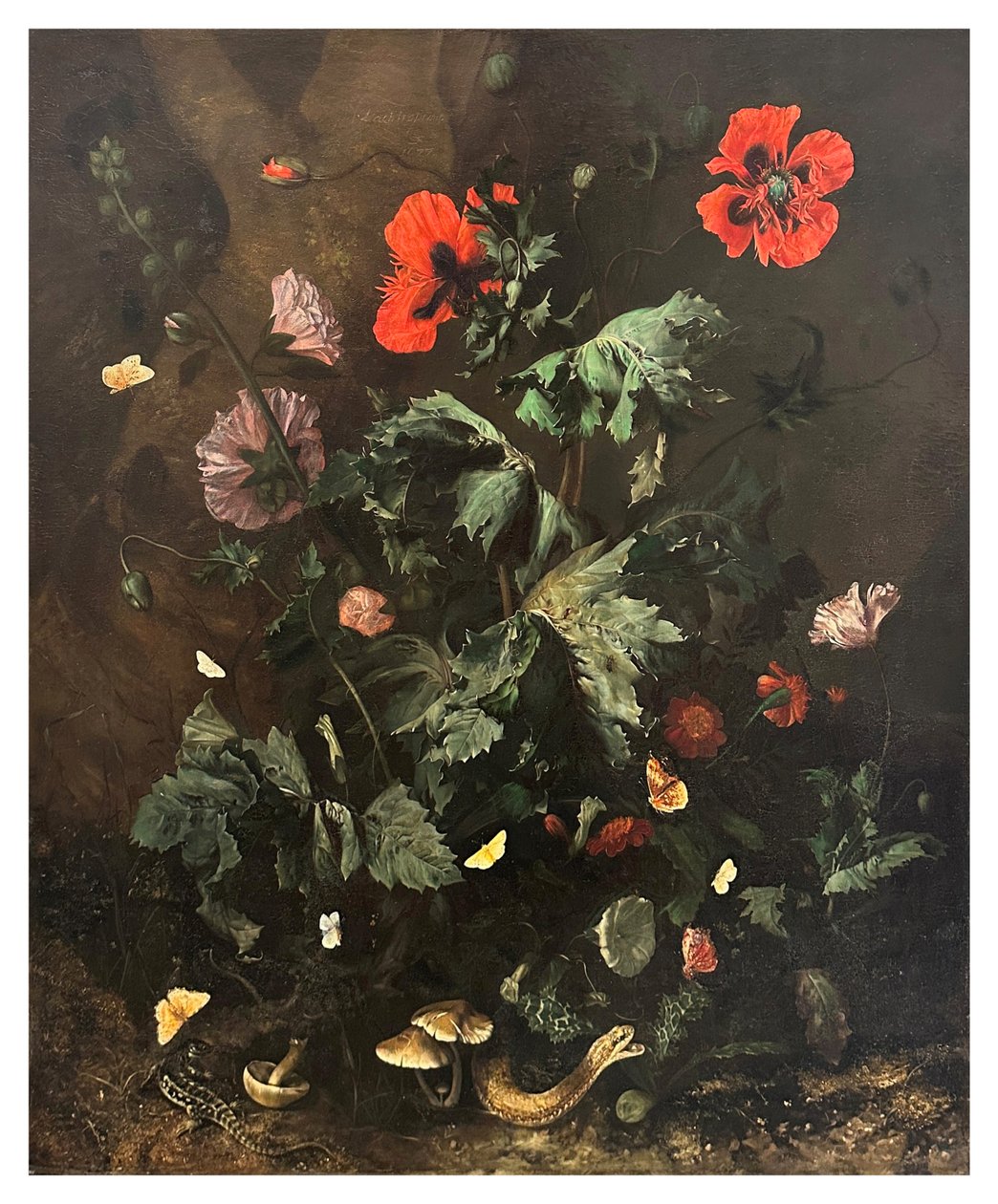 Çiçekler, Kelebekler ve Sürüngenlerle Bir Orman Zemini, c.1656-1700 (tuval üzerine yağlıboya) by Nicolaes Lachtropius