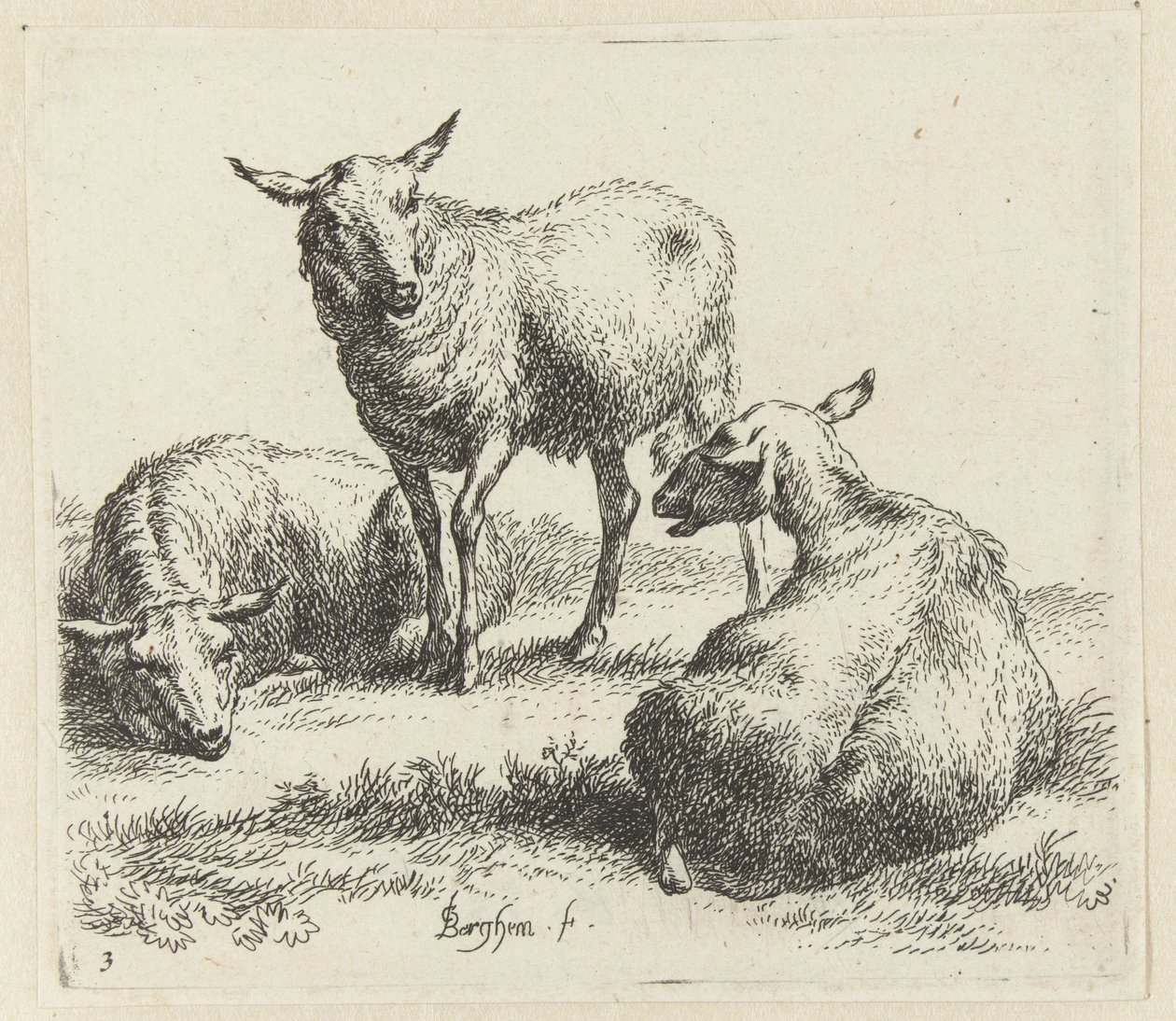 kuru schapen Schapen (dizi adı) Studio ve Arte Nicolai Berchemi tarafından basılan, su ve kudretli gökyüzü ile betimlenen canlılar için hayvanlar (seri başlığı) by Nicolaes Pietersz Berchem