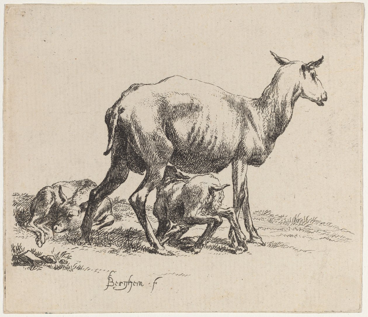 Kuzusunu Besleyen Ewe by Nicolaes Pietersz Berchem