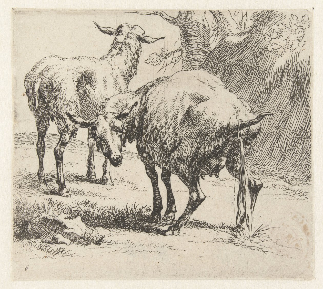 Her gün akşam yemeği Schapen (dizi adı) Studio ve Arte Nicolai Berchemi tarafından basılan, su ve kudretli gökyüzü ile betimlenen canlılar için hayvanlar (seri başlığı) by Nicolaes Pietersz Berchem