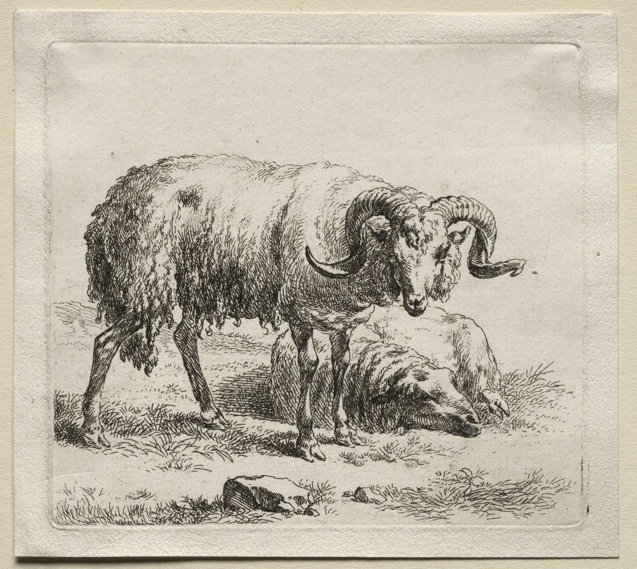 Ram ve Koyun. by Nicolaes Pietersz. Berchem