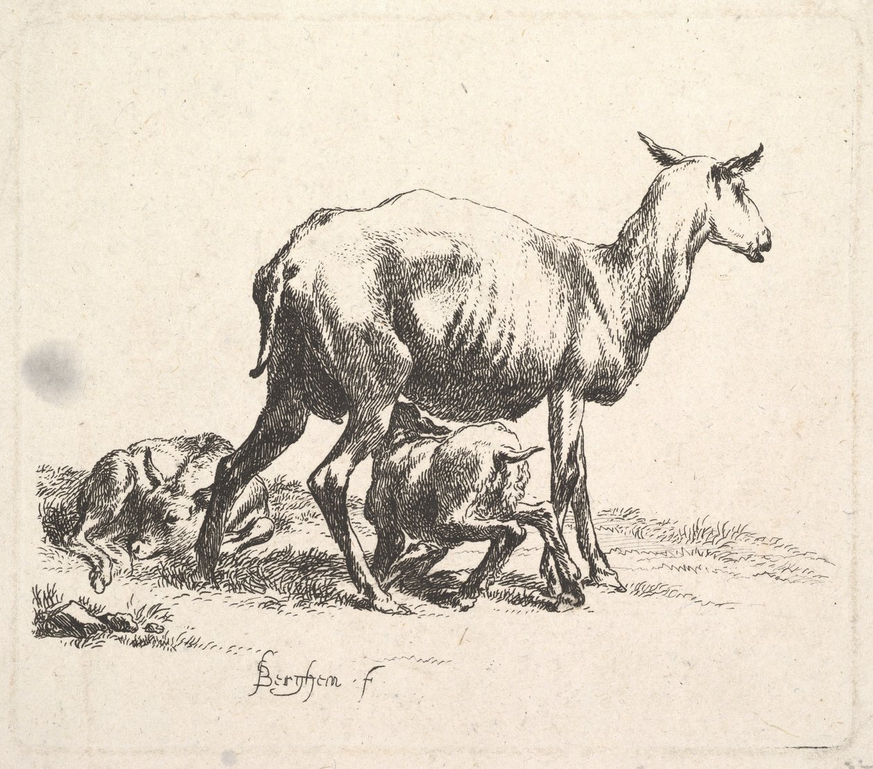 Kuzu Beslemeli Koyun. by Nicolaes Pietersz. Berchem