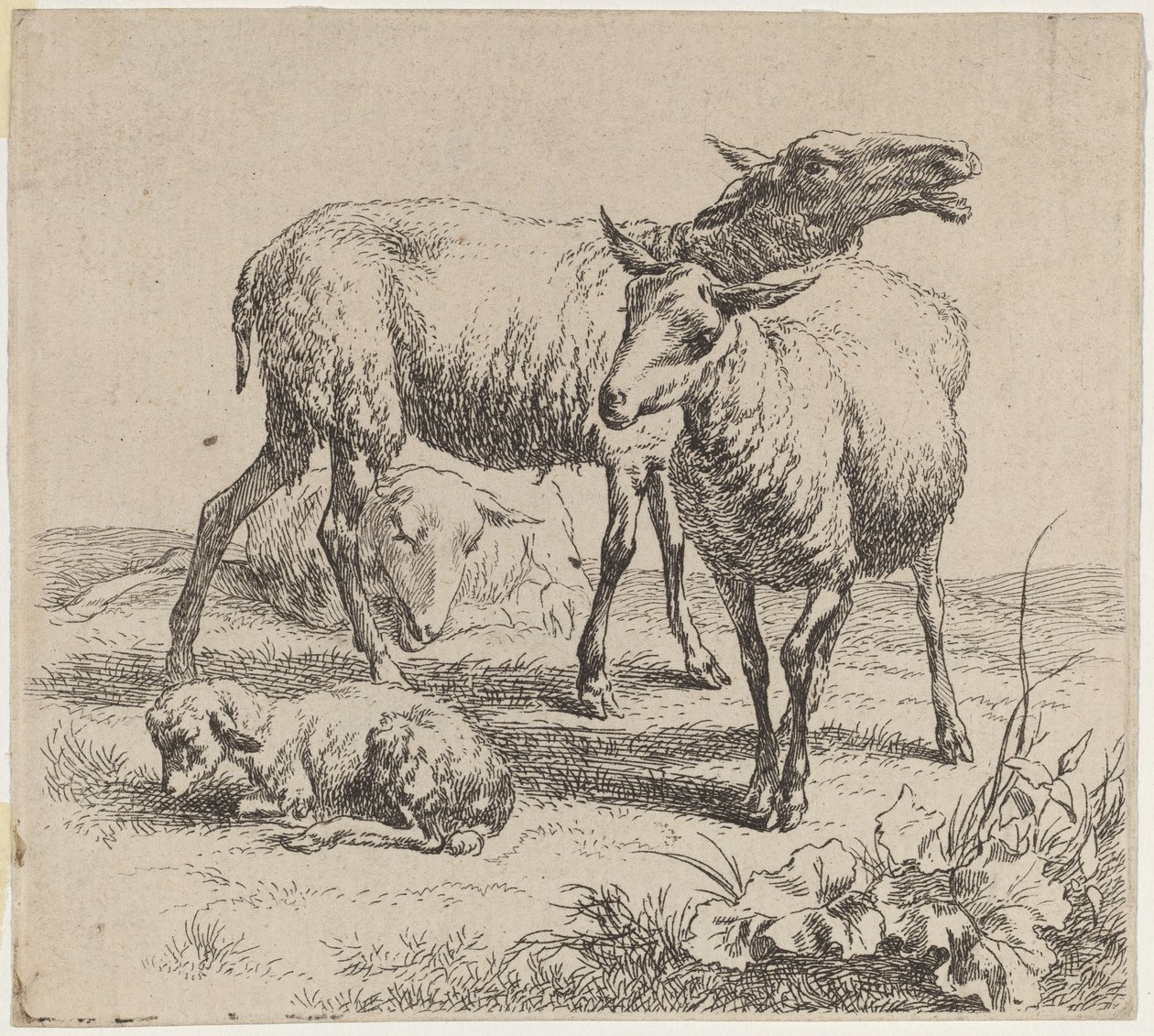 Üç Koyun ve Kuzu by Nicolaes Pietersz Berchem