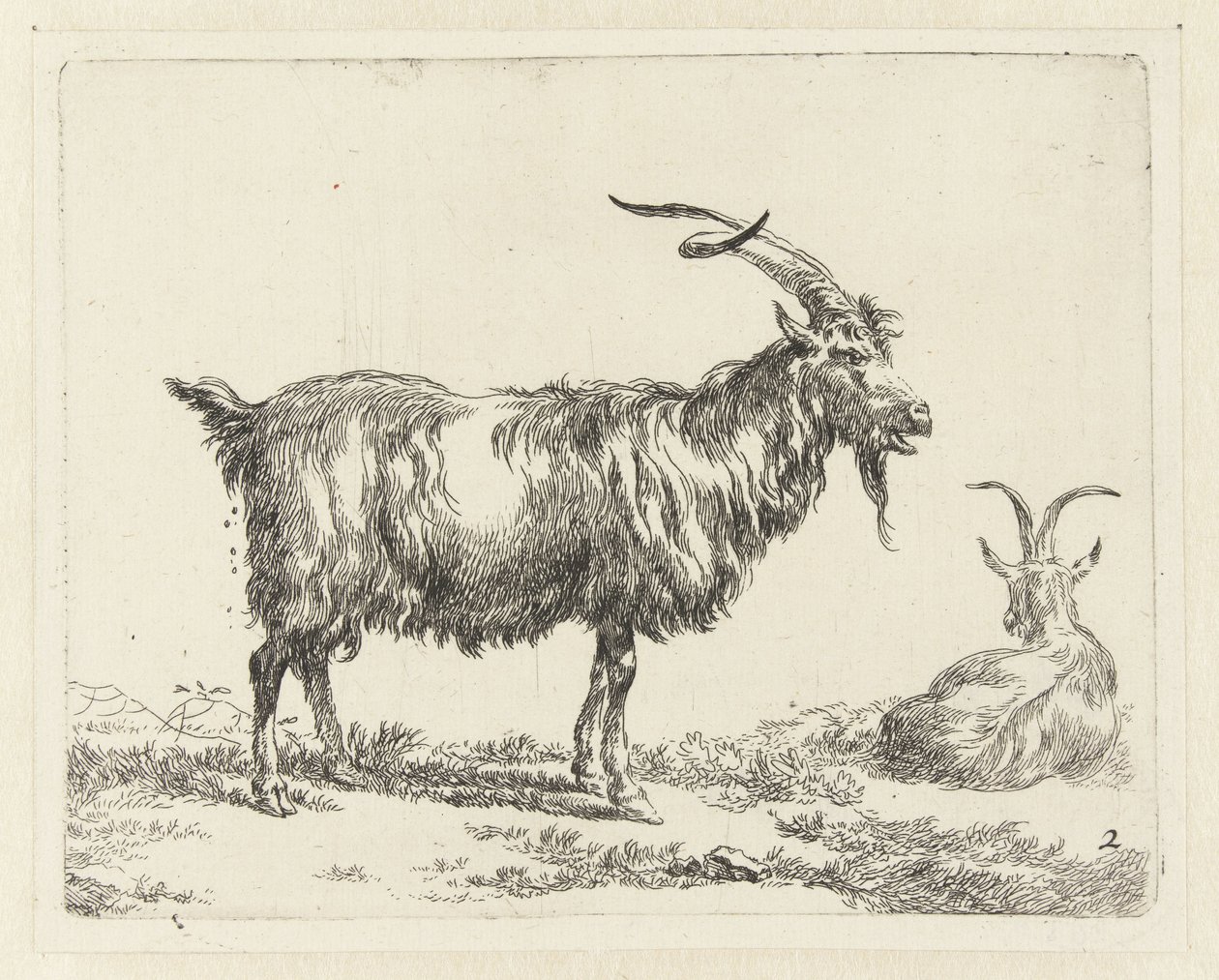iki keçi Geiten (dizi adı) Studio and Art of Nicolai Berchem tarafından canlandırılan ve güçlü hava için suyla basılan hayvanlar (seri başlığı) by Nicolaes Pietersz Berchem