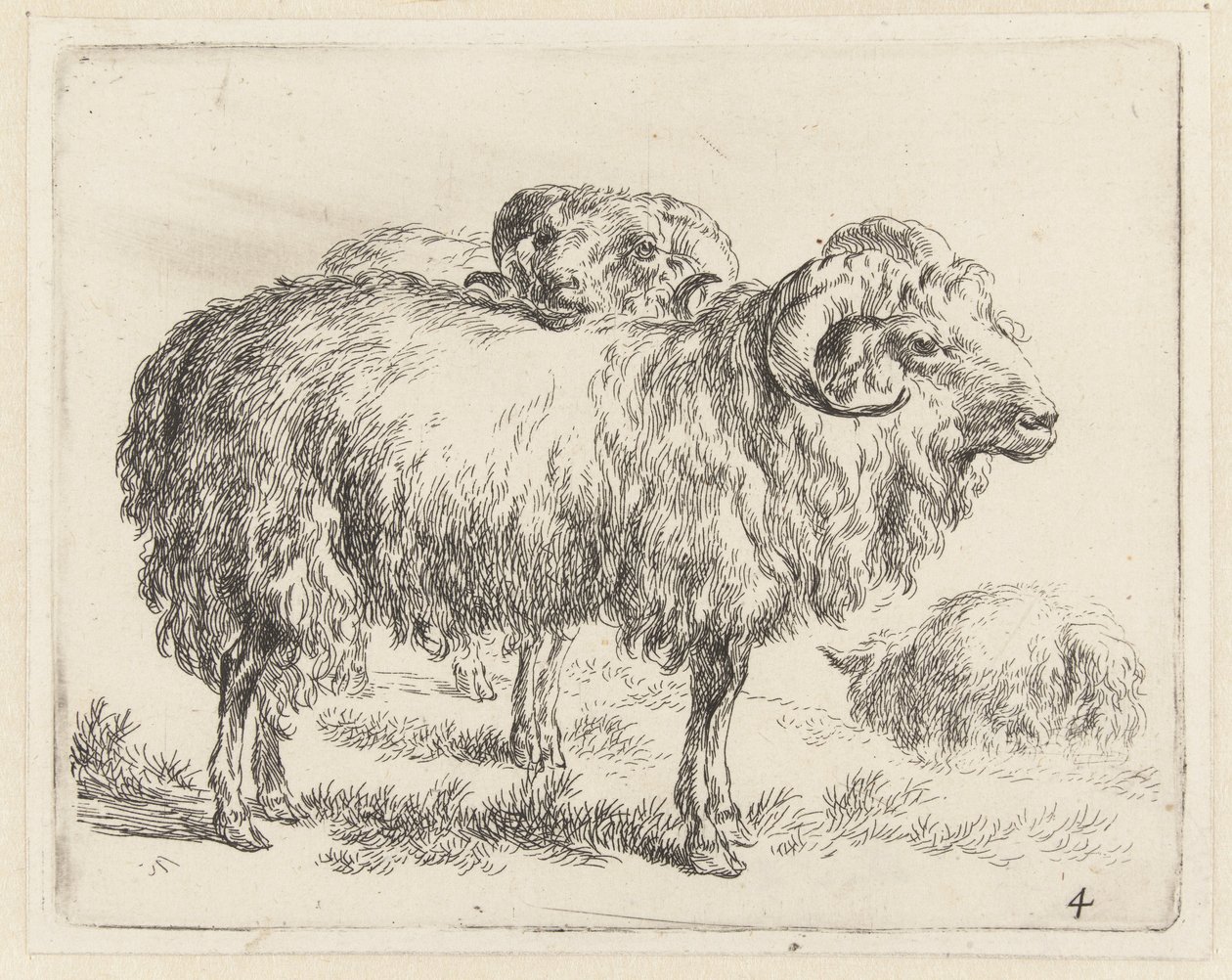 Twee rammen en een schaap Schapen (dizi adı) Studio ve Arte Nicolai Berchemi tarafından basılan, su ve kudretli gökyüzü ile betimlenen canlılar için hayvanlar (seri başlığı) by Nicolaes Pietersz Berchem